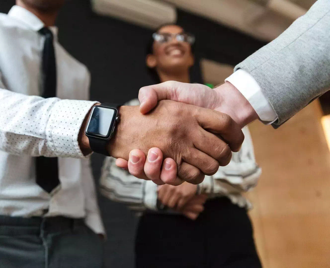 Partners shaking hands