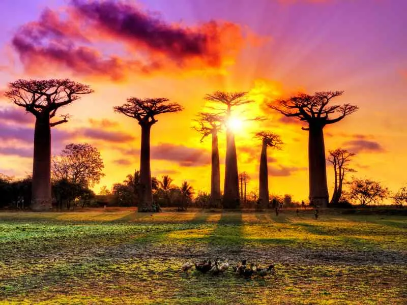 LEAP-RE member Emanula Colombo wrote an article in ESI Africa: “Africa’s energy tales in a post-COVID-19 world”
