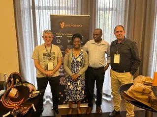 SOLAR INDUCE : latest progress and next steps in the project